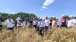 Зональные семинары-совещания по вопросам формирования урожая и сырьевого конвейера Республики Татарстан