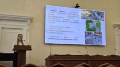 Итоги конкурса «Лучший молодой ученый ФИЦ КазНЦ РАН – 2025»