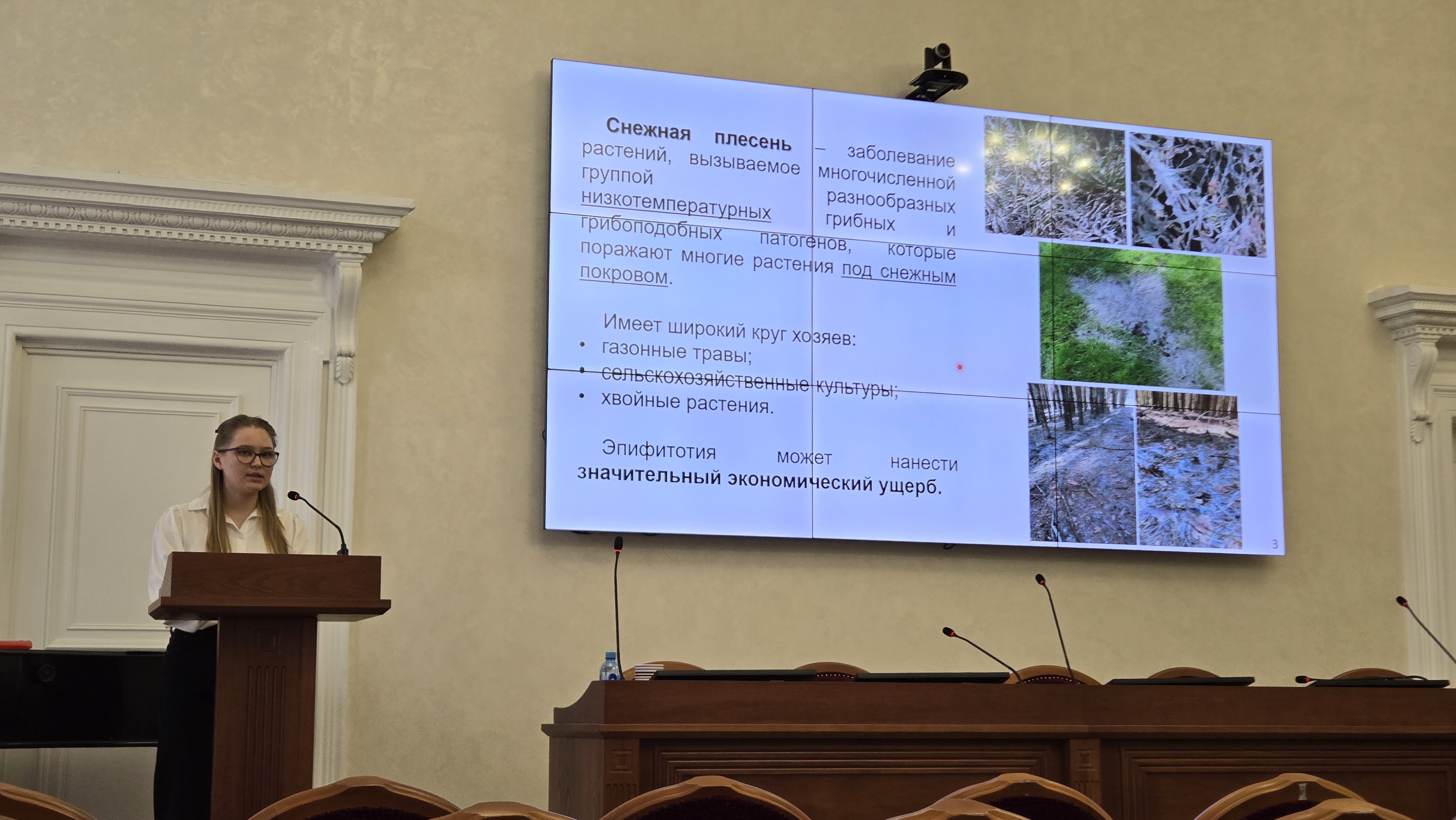 Итоги конкурса «Лучший молодой ученый ФИЦ КазНЦ РАН – 2025»