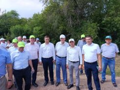 УСПЕХ  В ТВОРЧЕСКОМ СОЮЗЕ