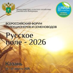 ТатНИИСХ представит селекционные достижения на форуме «Русское поле – 2026»